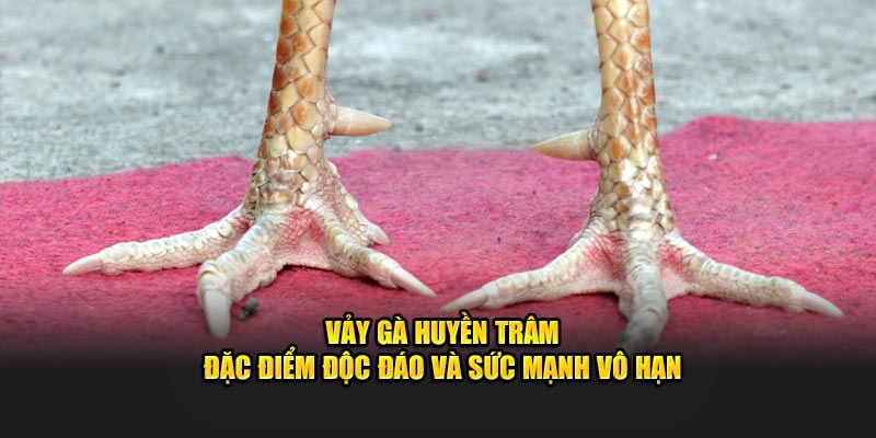 Vảy Gà Huyền Trâm – Đặc Điểm Độc Đáo và Sức Mạnh Vô Hạn